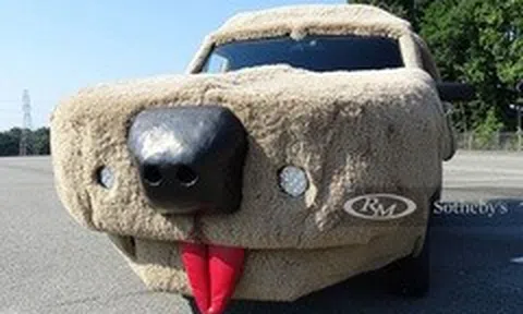 Xe van Ford Econoline hình chó nhồi bông cực dị