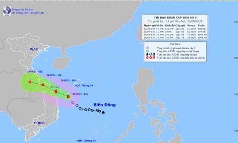 Bão số 6 gió giật cấp 10, cách bờ biển Bình Định khoảng 180km