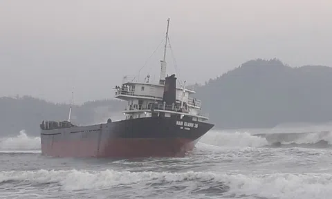 Bị tàu hàng đâm, 2 ngư dân trên tàu cá Bình Định rơi xuống biển mất tích