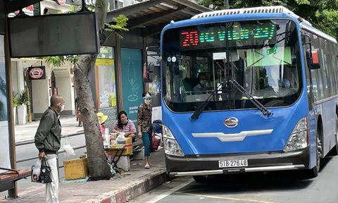 TP HCM: Từ 1-10, đề xuất cho xe buýt, taxi, ôtô công nghệ hoạt động lại