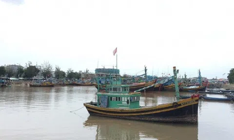 Bình Thuận: Khẩn tìm người đến cảng cá Phan Thiết