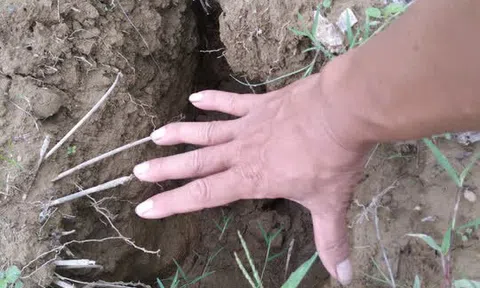 CLIP: Xuất hiện vết nứt dài cả trăm mét, đâm thẳng vào nhà dân