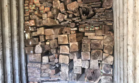 Lật tẩy bí mật trong 7 xe container chở gỗ, đá quý từ Lào