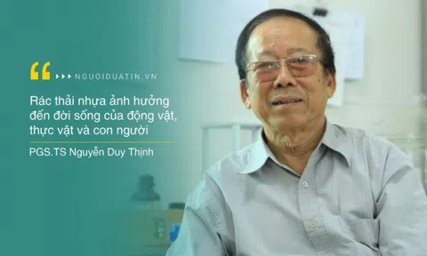 Rác thải nhựa ảnh hưởng đến môi trường và sức khoẻ ra sao?