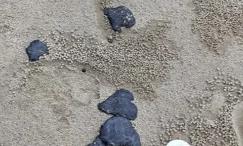 Hơn 10 tấn dầu vón cục nguy hại dạt vào bờ biển, chỉ thu gom được vài chục ký