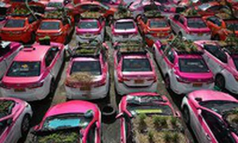 Hãng taxi ế ẩm vì Covid-19, hàng trăm ô tô bị biến thành vườn rau có 1-0-2icon