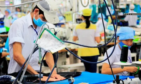 Nghịch lý: Nhiều người thất nghiệp nhưng vẫn thiếu cung lao động