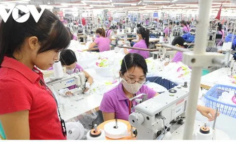 Hỗ trợ trực tiếp từ quỹ BHTN là giải pháp chưa có tiền lệ, giúp lao động ổn định cuộc sống