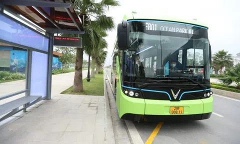 Hà Nội vận hành 2 tuyến buýt điện đầu tiên vào tháng 10