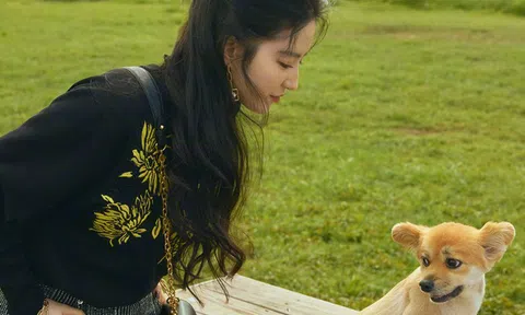 Lưu Diệc Phi dạo chơi ngày thu