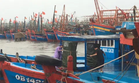 Dự báo 2 cơn bão liên tiếp trên Biển Đông những ngày tới