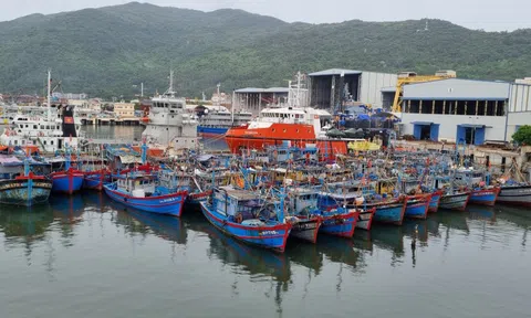 Đà Nẵng cấm tàu thuyền ra khơi