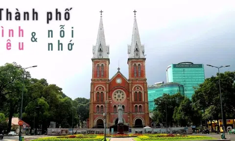 Cẩm Vân: 'Tôi ám ảnh vì mất mát trong dịch'