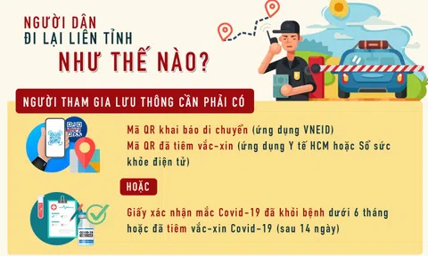 [Infographic] Người dân đi lại giữa TP HCM và các địa phương như thế nào?