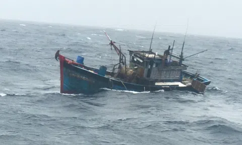 Thuyền trưởng gặp nạn bất tỉnh khi đang vào bờ tránh áp thấp nhiệt đới