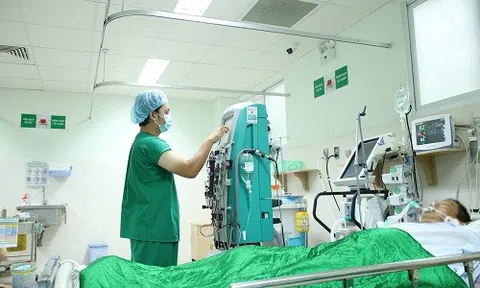 Bị đàn ong làm tổ trên mái nhà tấn công, gia đình 5 người nhập viện cấp cứu