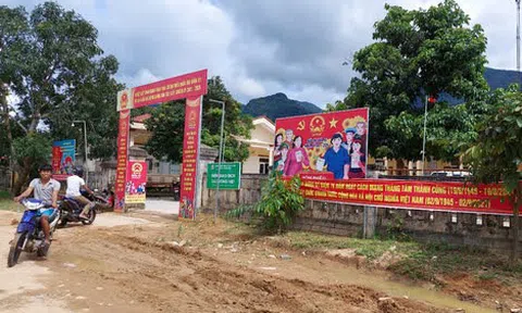 Bị "tuýt còi" vì khai man ruộng lúa thiệt hại, bí thư đảng ủy xã nói gì?