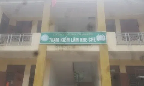 Một cán bộ kiểm lâm chết trong phòng ngủ nơi làm việc