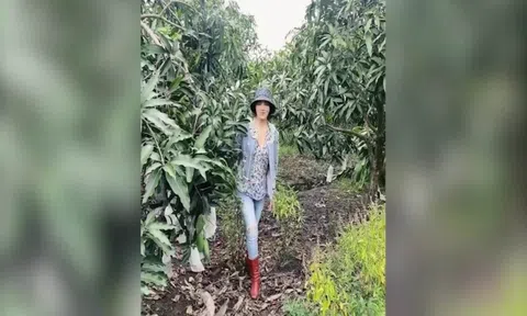 Giáng My du lịch Cần Giờ