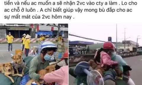 Chủ đàn chó bị tiêu hủy được “đại gia” hỗ trợ tiền, hứa giúp việc làm