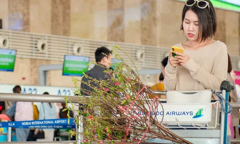 Đề xuất nghỉ Tết Nguyên đán Nhâm Dần 9 ngày