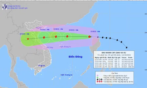Bão số 8 cường độ mạnh, đang di chuyển rất nhanh hướng vào Bắc Trung bộ