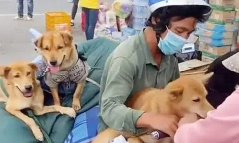 Áp lực dư luận vụ tiêu hủy 15 con chó, nữ Trưởng trạm y tế xã ở Cà Mau xin nghỉ việc