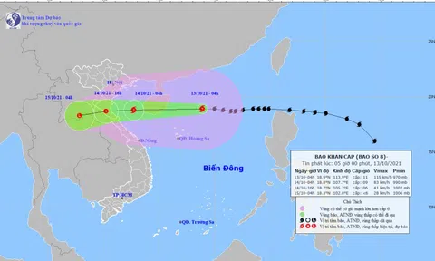 Bão số 8 cách quần đảo Hoàng Sa khoảng 270km, giật cấp 14