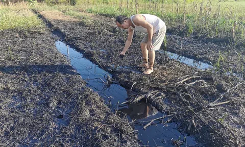 Người dân "khóc ròng" vì doanh nghiệp xả dầu nhớt đen kịt ra đồng ruộng