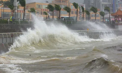 Bão số 8 cách Hà Tĩnh 240km, suy yếu trước khi đổ bộ đất liền