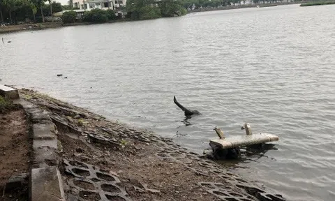 Bờ hồ Trúc Bạch giữa Hà Nội hư hỏng, nhếch nhác gây mất mỹ quan đô thị