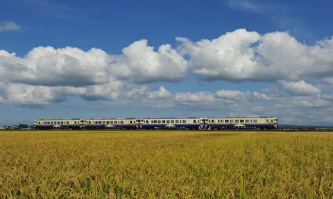 [ẢNH] Hiện trạng 37 toa tàu Nhật Bản dùng 40 năm mà Đường sắt Việt Nam muốn nhập về