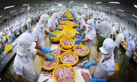 Dự thảo Nghị định Luật BVMT 2020: "Chúng tôi đang vô cùng lo ngại"