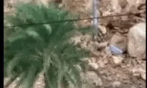 CLIP: Sạt lở núi trong nội thành Quy Nhơn, 3 người đi đường bị thương