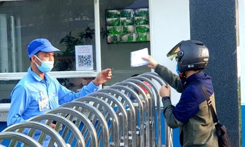 Đà Nẵng tìm “kế sinh nhai” cho hàng nghìn người dân thất nghiệp