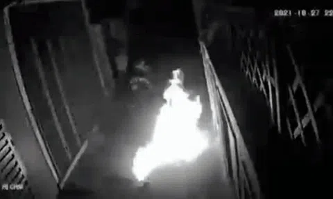 Vụ thanh niên thiêu sống chú mèo ở Hà Nội: Trạm cứu hộ từ chối mong muốn của nữ chủ nhân