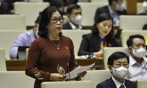 Ba vấn đề trọng yếu: Y tế cơ sở, đầu tư, lao động