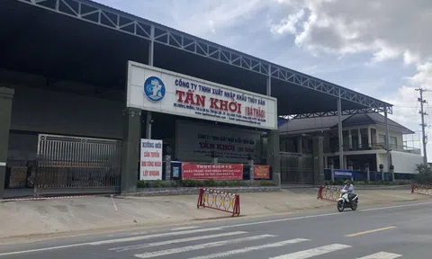 Công ty thủy sản có gần 700 người mắc Covid-19 ở Bạc Liêu bị đề nghị phạt hành chính