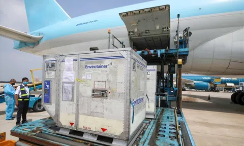 Tổng cục Hải quan phản hồi vụ 22.000 lon sữa về TP HCM 1 tháng chưa lấy ra được