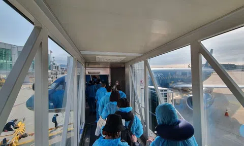 Chuyến bay thẳng thương mại thường lệ đầu tiên giữa Việt Nam và Mỹ cất cánh ngày 28-11