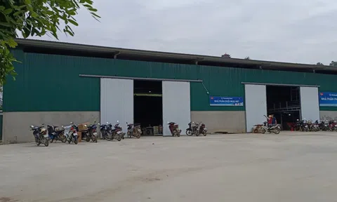 Chủ tịch phường "xẻ thịt" 1.000 m2 đất trồng cây cho thuê trái thẩm quyền