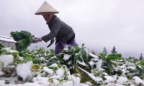 Giữa tháng 12, miền Bắc đón đợt rét đậm, rét hại đầu tiên