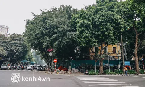 Ảnh: Biệt thự Pháp cổ rộng 1.000m2 bỏ hoang trên "khu đất kim cương" của Hà Nội giờ ra sao?