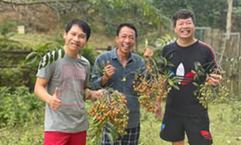 Đời thường giản dị của Đăng Dương, Trọng Tấn, Việt Hoàn