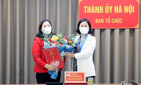 Hà Nội có nữ Phó Trưởng ban Tổ chức Thành ủy mới