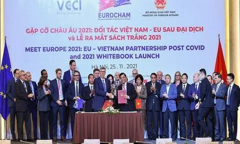Việt Nam-EU thúc đẩy hợp tác thương mại hậu Covid-19