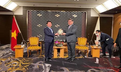 Nhật Bản sẽ tiếp tục thúc đẩy hợp tác với Việt Nam trong lĩnh vực chuyển đổi số