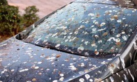 Anh phạt tới 5.000 bảng nếu tài xế để xe quá bẩn