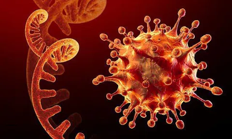 MỚI: Bộ Y tế thông tin về biến chủng mới Omicron