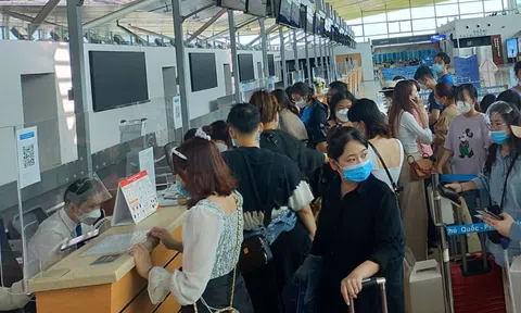 Tăng tần suất nhiều đường bay nội địa từ ngày mai 1-12